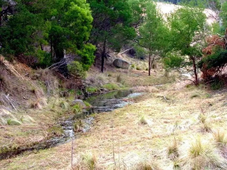 Fourth view of Homely rural property listing, 398 New Buildings Road, Wyndham NSW 2550