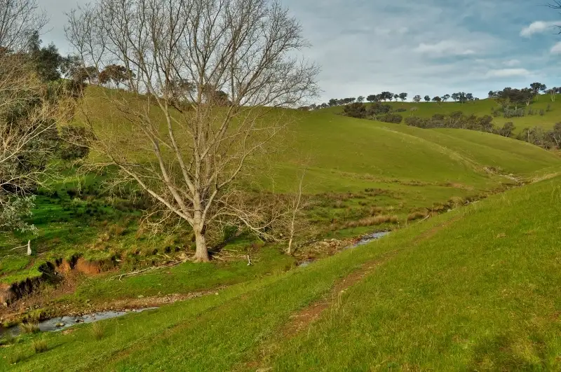 Main view of Homely rural property listing, Bottom Creek - Sirls Road, Bethanga VIC 3691