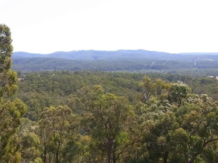 Third view of Homely rural property listing, 83 Ben Boyd Fire Trail, Boydtown NSW 2551