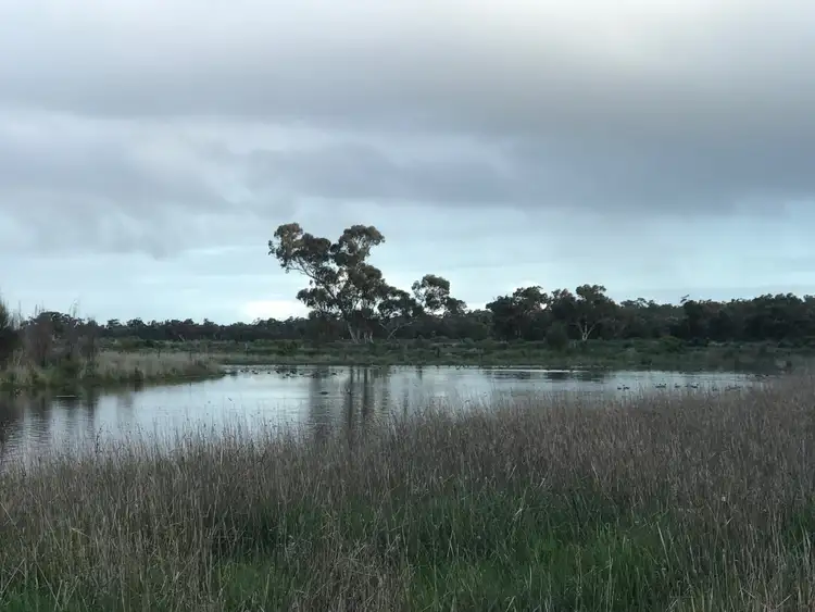 Sixth view of Homely rural property listing, 59 Mundalena Rd, Lucindale SA 5272