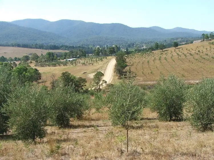 Fifth view of Homely rural property listing, 201 Pericoe Road, Towamba NSW 2550