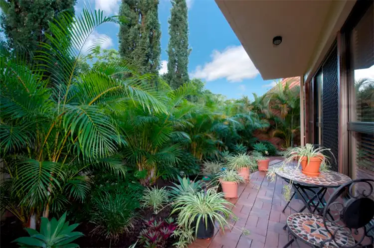 Fourth view of Homely unit listing, 1/48 Martin Street, Nerang QLD 4211