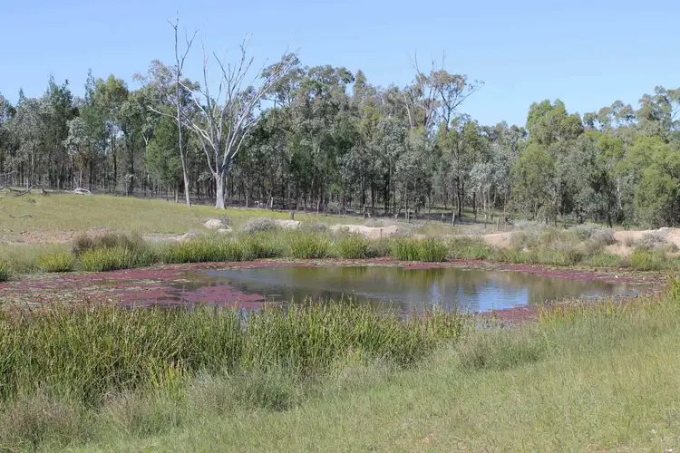 Fourth view of Homely rural property listing, Lot 11 Luna Road, Inglewood QLD 4387