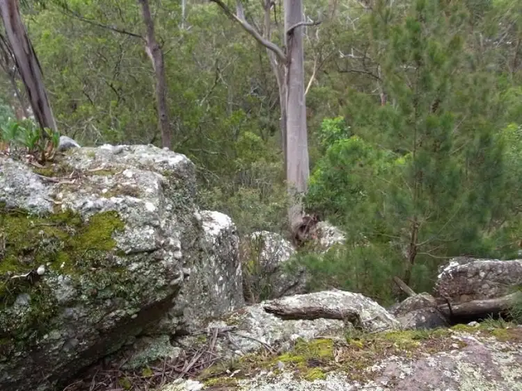 Fourth view of Homely rural property listing, L963 Mt Darragh Road, Lochiel NSW 2549