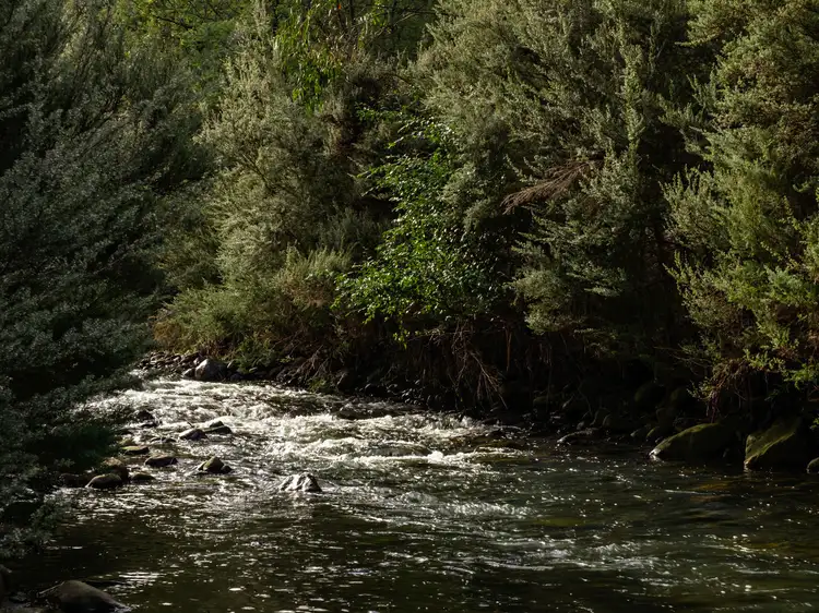 Fifth view of Homely land listing, 139853/3 Oates Road, Mountain River TAS 7109