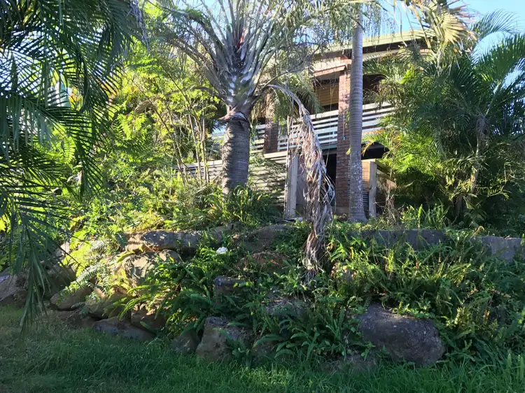 Main view of Homely house listing, 16 Ogilvie Street, Bundamba QLD 4304