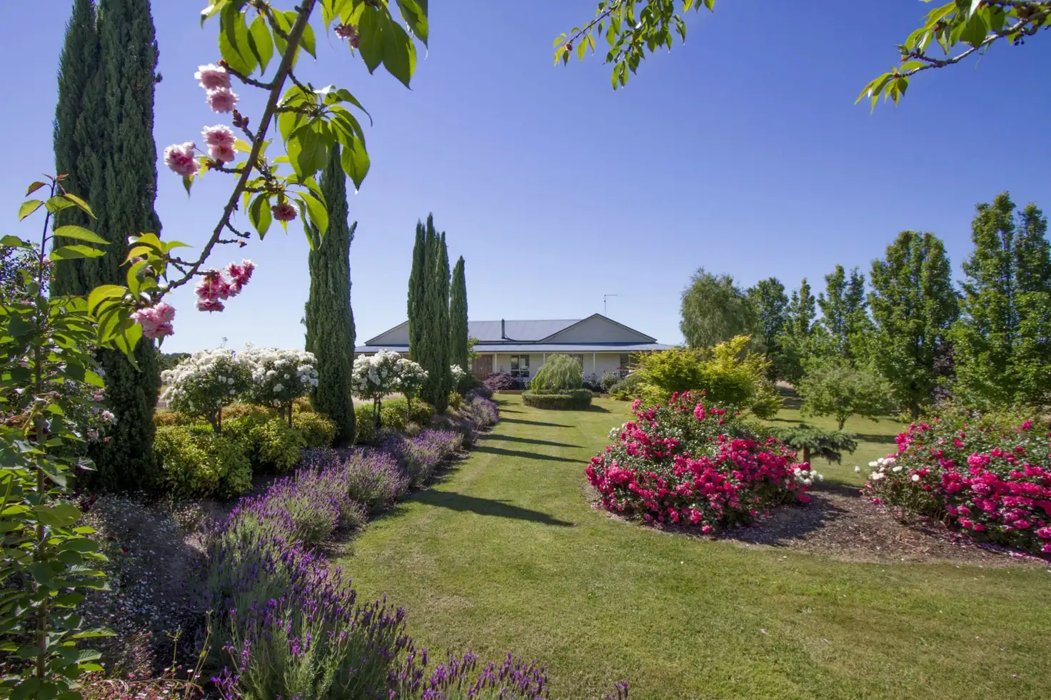 Main view of Homely house listing, 79-83 Forbes Street, Briagolong VIC 3860