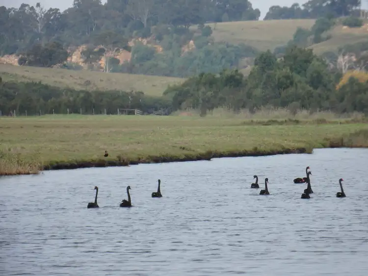Second view of Homely land listing, 700 Nicholson-sarsfield Road, Sarsfield VIC 3875