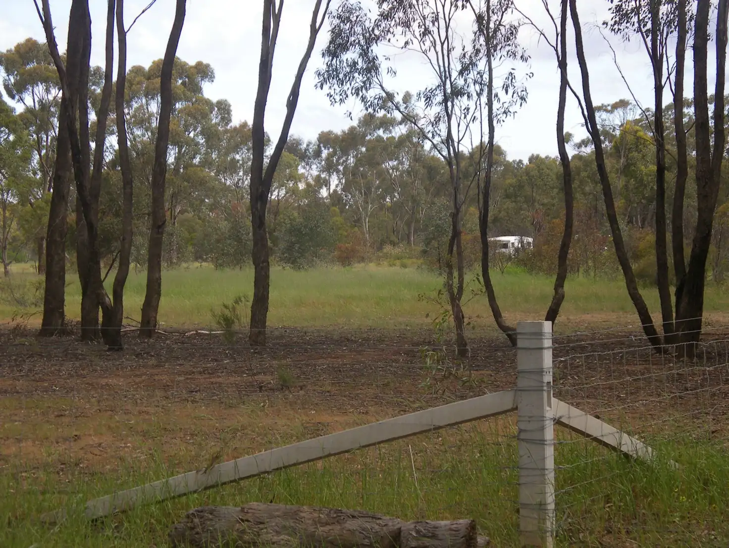 Main view of Homely land listing, 5 Blandfords Road, Neilborough VIC 3570