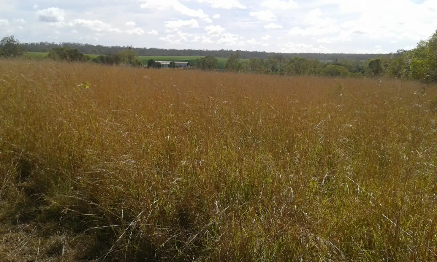 Main view of Homely land listing, L1 Bruce Highway, Booyal QLD 4671