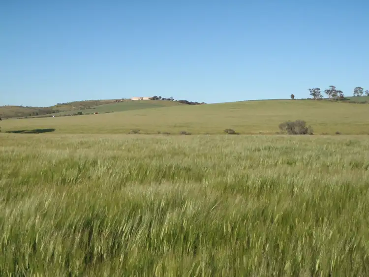 Fifth view of Homely land listing, ./L2 & 3 Beetaloo Valley Road, Beetaloo SA 5523