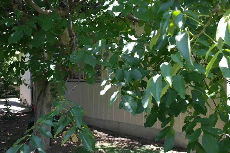 Seventh view of Homely house listing, 4 Firmin Street, Traralgon VIC 3844