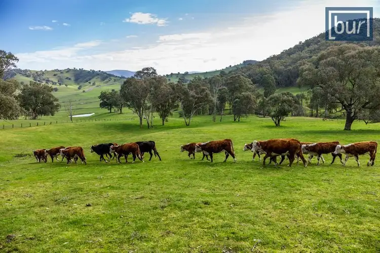 Second view of Homely rural property listing, 175 Oak Hill Track, Khancoban NSW 2642