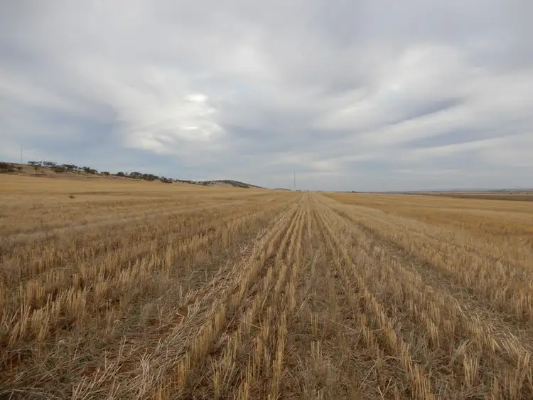 Main view of Homely rural property listing, * Atkinson Road, Snowtown SA 5520