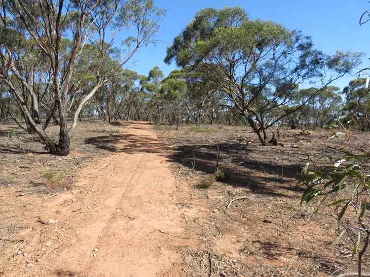 Sixth view of Homely rural property listing, Lot 23 Wallaby Way, Wedderburn VIC 3518