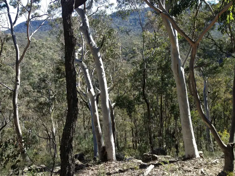 Fourth view of Homely rural property listing, 1726 Glen Alice Road, Rylstone NSW 2849