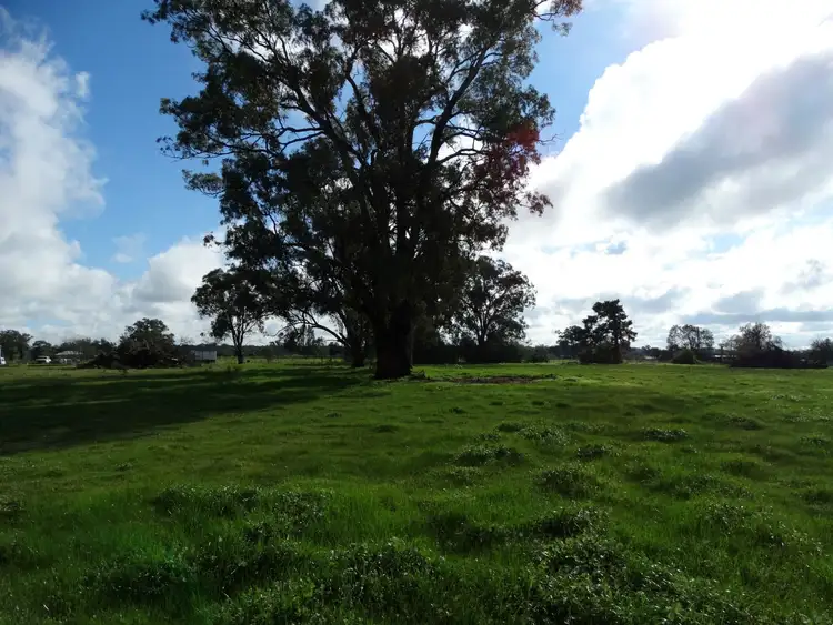 Seventh view of Homely rural property listing, L134 Morgans Road, Walla Walla NSW 2659