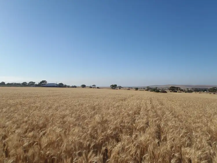 2 Huddleston Road, Crystal Brook SA 5523