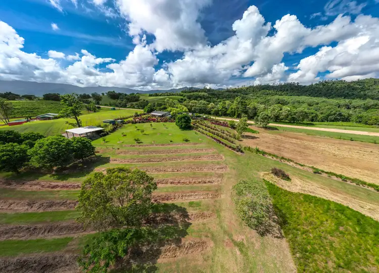 Fifth view of Homely house listing, 250 Dingo Pocket Rd, Dingo Pocket QLD 4854