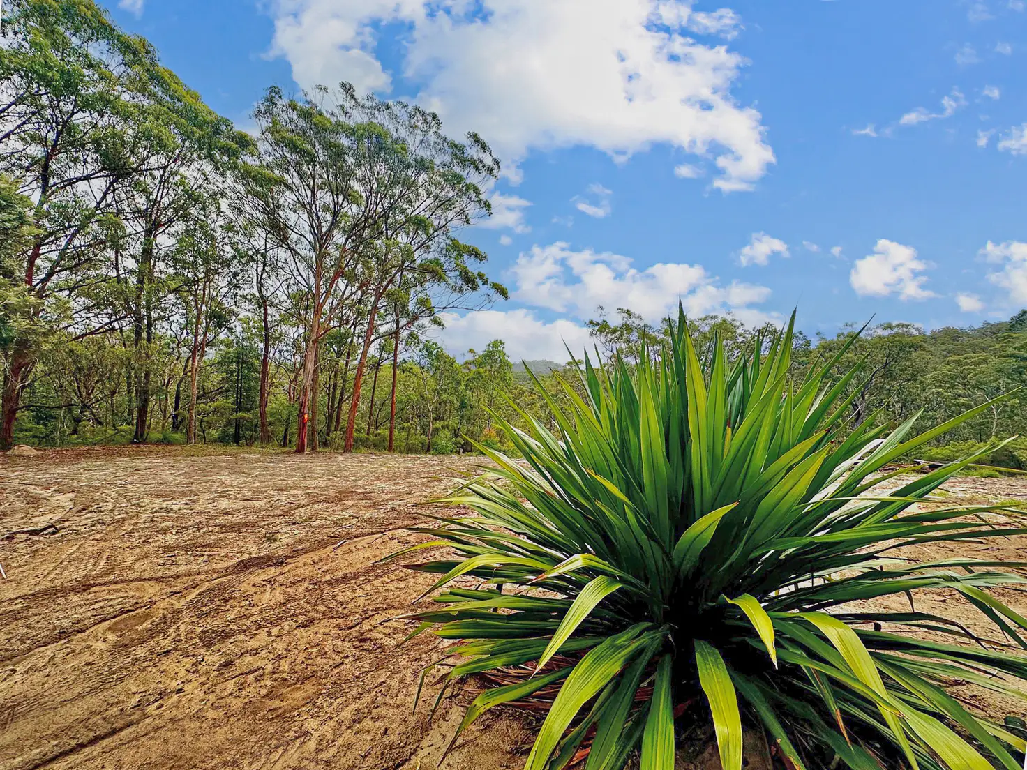 Main view of Homely rural property listing, 101 Olney Arm Rd, Laguna NSW 2325