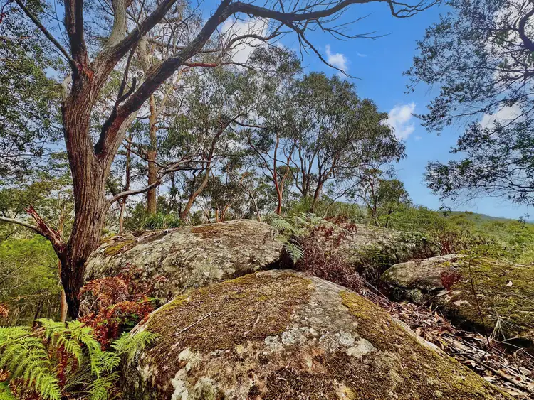 Second view of Homely rural property listing, 101 Olney Arm Rd, Laguna NSW 2325