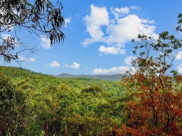 Seventh view of Homely rural property listing, 101 Olney Arm Rd, Laguna NSW 2325