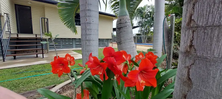 155 Mills Ave, Moranbah QLD 4744