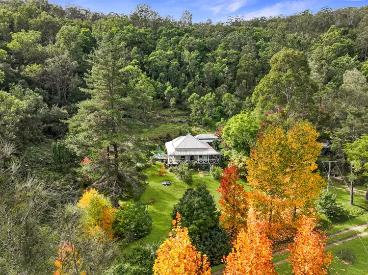 Main view of Homely rural property listing, 3037 Great North Road, Wollombi NSW 2325