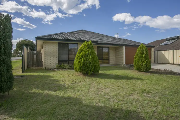 Main view of Homely house listing, 14 Salamanca Turn, Clarkson WA 6030