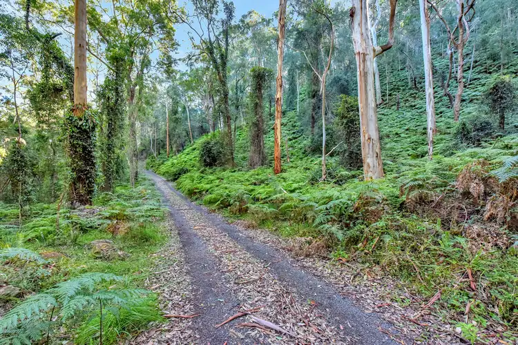 Fifth view of Homely rural property listing, 1295 Watagan Creek Road, Laguna NSW 2325