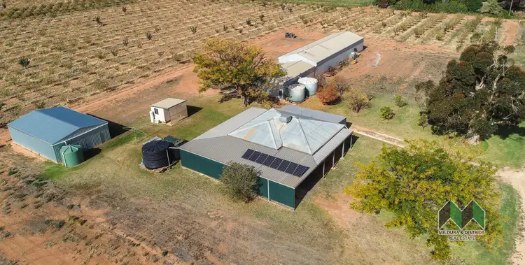 Main view of Homely house listing, 499 Paschendale Ave, Merbein West VIC 3505