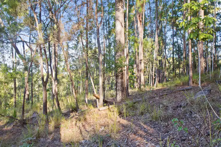 136 Wappa Falls Rd, Yandina QLD 4561