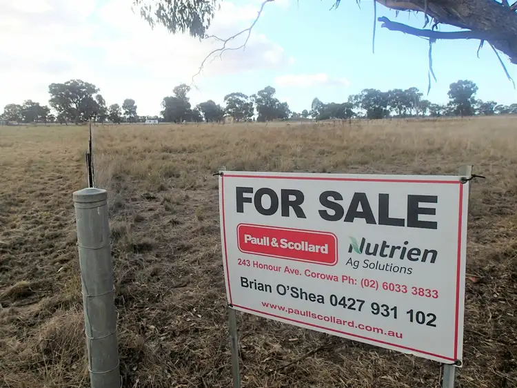 111 Cook Street, Daysdale NSW 2646