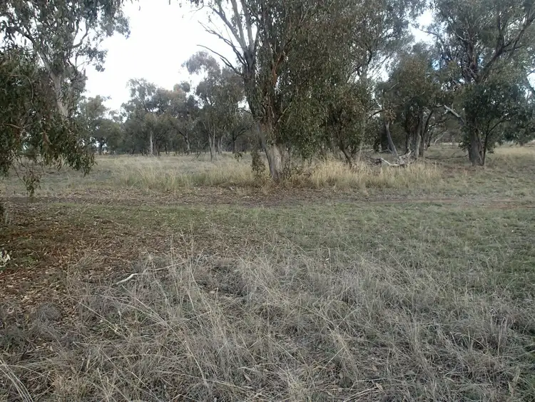 Third view of Homely land listing, 111 Cook Street, Daysdale NSW 2646