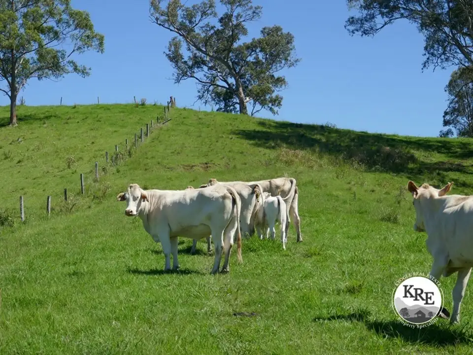 Main view of Homely rural property listing, 183 Williams Rd, Kyogle NSW 2474