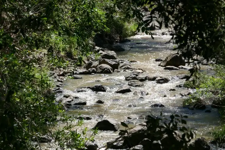 Seventh view of Homely rural property listing, 183 Williams Rd, Kyogle NSW 2474