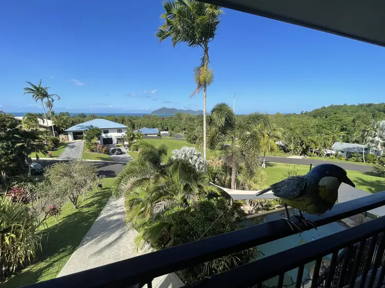 Third view of Homely house listing, 24 Dunkalli Cres, Wongaling Beach QLD 4852