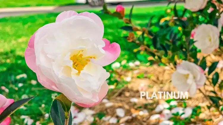 Fourth view of Homely semi-detached listing, 21B Tahnee St, Sanctuary Point NSW 2540