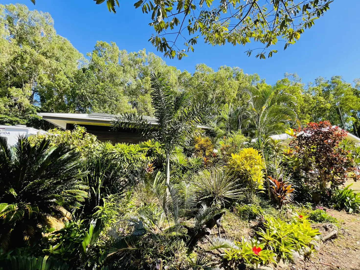 Main view of Homely house listing, 6 Sanctuary Cres, Wongaling Beach QLD 4852