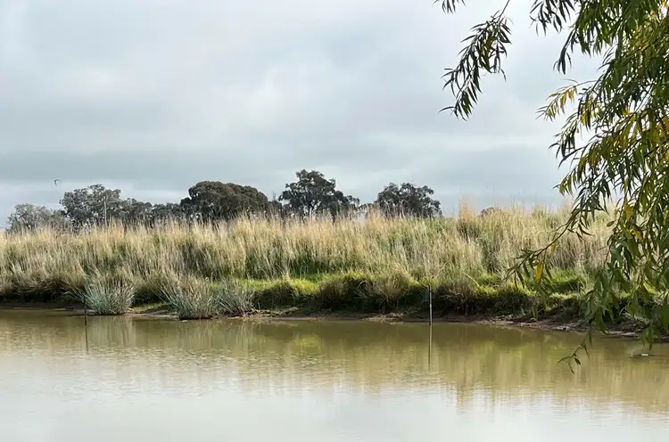 Third view of Homely rural property listing, 894 Coach Road, Culcairn NSW 2660