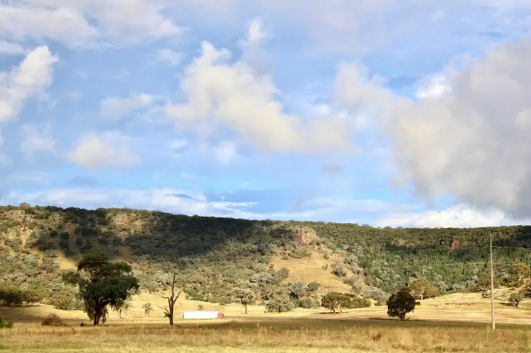 Fifth view of Homely rural property listing, 894 Coach Road, Culcairn NSW 2660