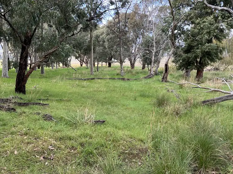 Sixth view of Homely rural property listing, 894 Coach Road, Culcairn NSW 2660