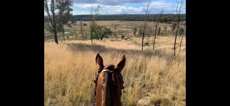 Third view of Homely house listing, 404 New Valley Rd, TINGHA, Inverell NSW 2360