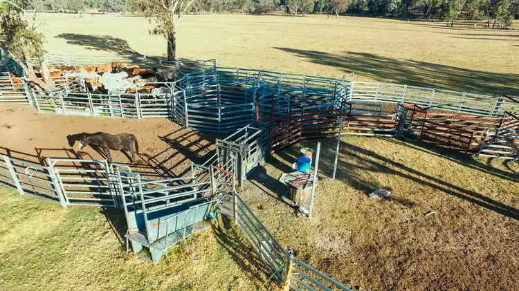 Sixth view of Homely house listing, 404 New Valley Rd, TINGHA, Inverell NSW 2360