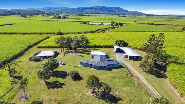 Fifth view of Homely rural property listing, 1085 Mount Martin Loop Road, Mount Martin QLD 4754