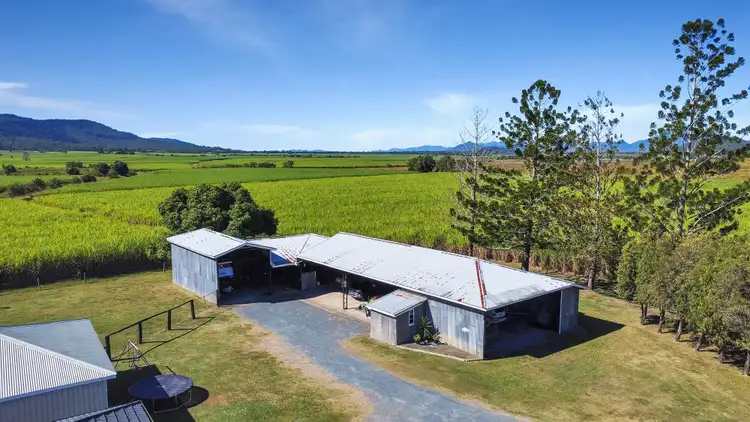 Sixth view of Homely rural property listing, 1085 Mount Martin Loop Road, Mount Martin QLD 4754