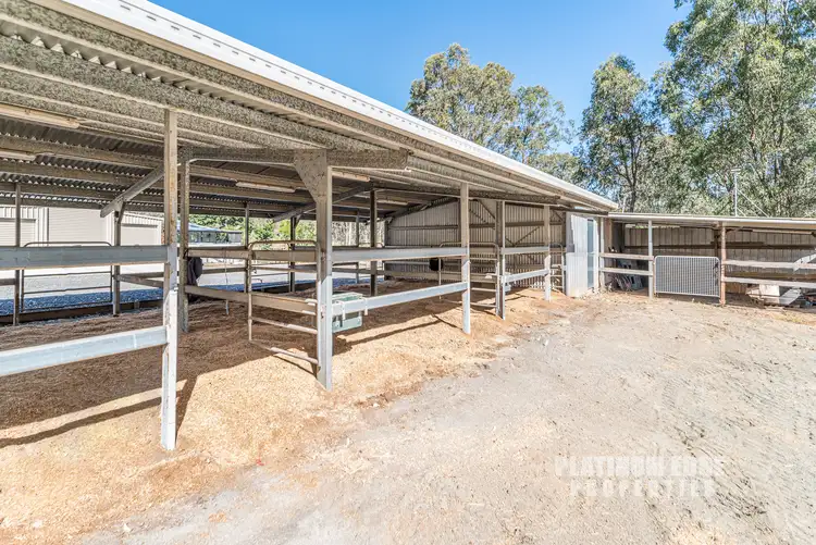 Fifth view of Homely house listing, 31-37 Boondarn Ct, Cedar Grove QLD 4285