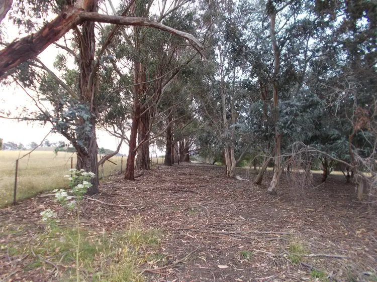 Sixth view of Homely rural property listing, 149 Springhill Bottom Rd, Colebrook TAS 7027