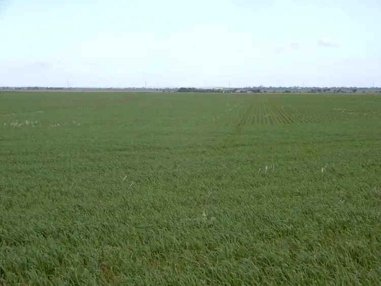 Second view of Homely rural property listing, Allotment 521 Nelshaby Road, Napperby SA 5540