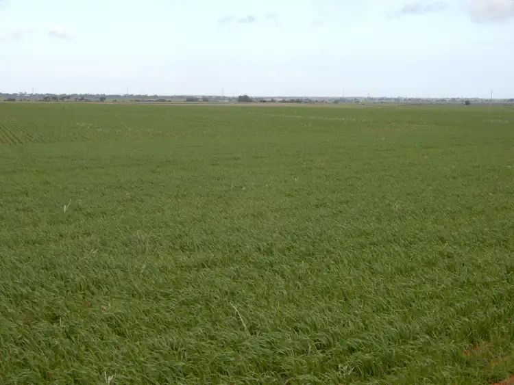 Third view of Homely rural property listing, Allotment 521 Nelshaby Road, Napperby SA 5540